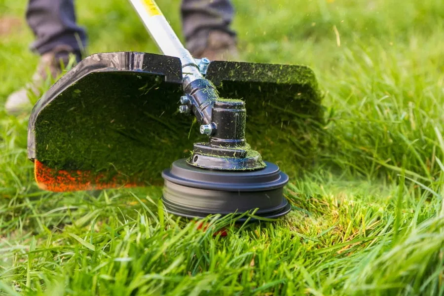 На Кіровоградщині громада витратить 1,5 мільйона гривень на покіс трави